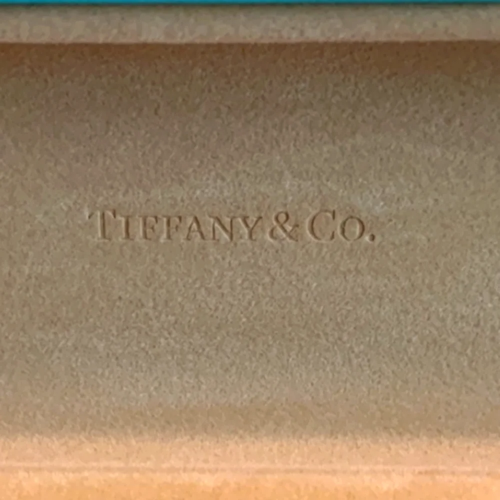 Tiffany & Co hard glasses case.